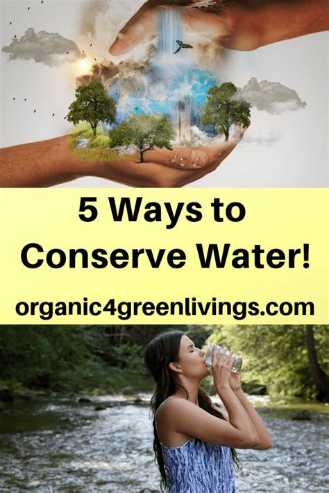 5 Surprising Ways To Conserve More Water At Home