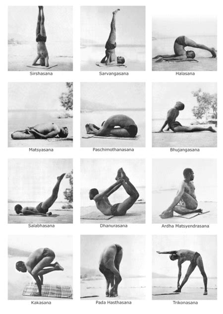 Here is a comprehensive guide to the science of asanas. The 12 basic asanas in the Sivananda Yoga series as performed by Swami Vishnudevananda, founder ...