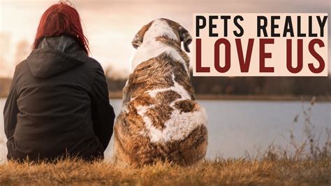 Why Pets Showing Love To Humans Youtube