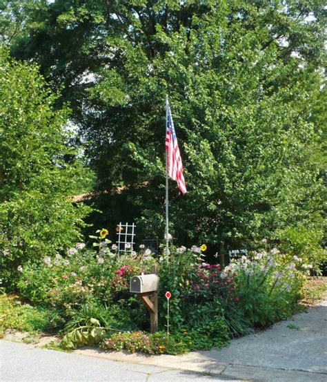 A Cottage Garden A Cultivated Nest