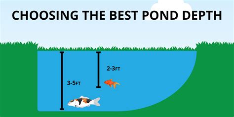 Tips On How To Build A Pond Azponds And Supplies