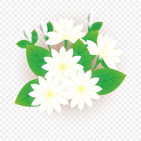 Gambar Daun Bunga Melati Melati Adegan Nyata Bunga Png Dan Vektor