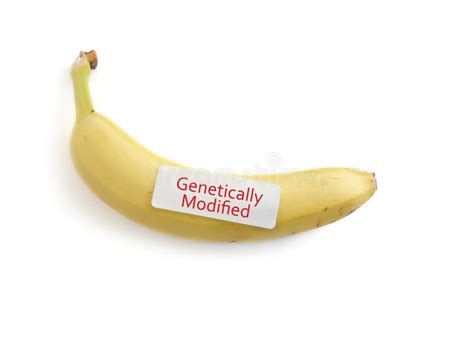 Gmo Banana Stock Photo Image Of Sticker Food Dangerous 46682946