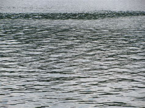 smooth-water-surface-of-lake-brno-free-image