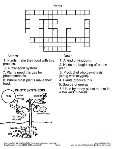 Photosynthesis Worksheet For 6th 8th Grade Lesson Planet
