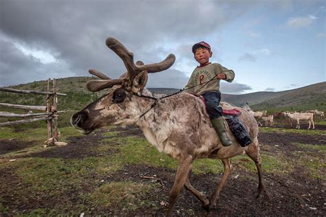 Mongolian Nomadic Reindeer Herders Fieldwork Lh