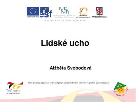 PPT - Lidské ucho PowerPoint Presentation, free download - ID:3335229