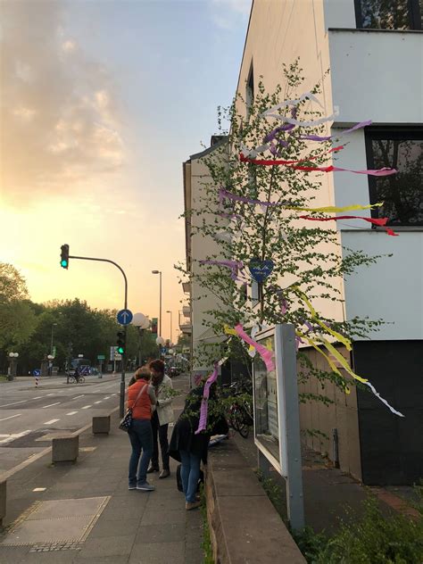 Maibaum is a german surname meaning maypole. Maibaum für Europa - Bonn EntdeckenBonn Entdecken