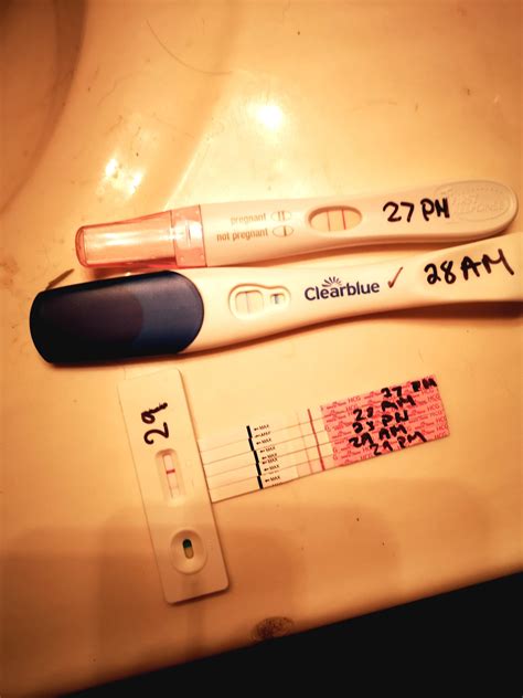 What Does A Positive Pregnancy Test Really Look Like Page 37 — The Bump