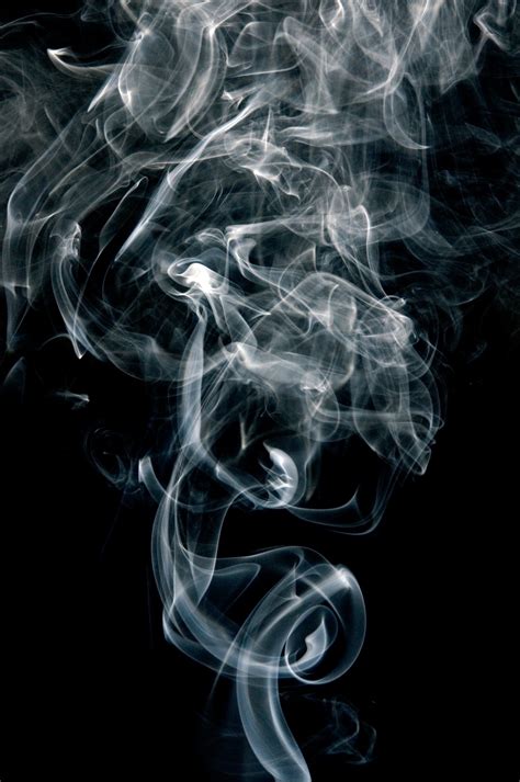 무료 이미지 검정색과 흰색 화이트 흡연 곡선 어둠 검은 단색화 세례반 삽화 타고 있는 흑백 사진 담배