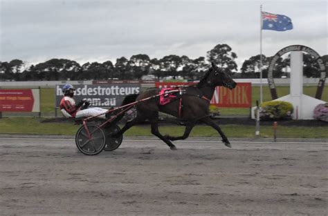 harness racing returns to horsham for eight race card the wimmera mail times horsham vic