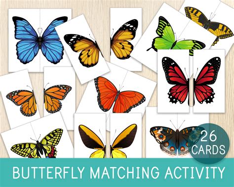 Butterfly Matching Activity Butterfly Puzzles Symmetry Kids Etsy