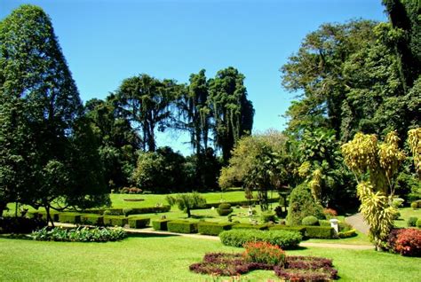 Royal Botanical Gardens In Kandy Sri Lanka A Must Visit Blue Lanka