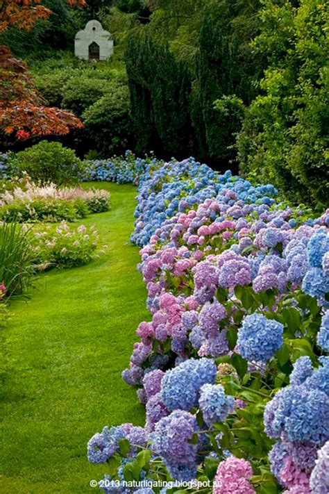 Join us as we look at lots of new cool garden ideas and learn to make our gardens even more fun and beautiful! Best Secret Gardens Ideas 32 (Best Secret Gardens Ideas 32 ...