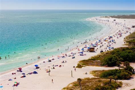 5 Things To Do On Your Siesta Key Vacation