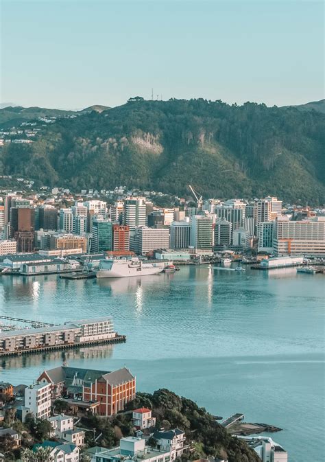 Then make a local payment to wise, whether it's yes, there are limits for how much you can send from malaysia to new zealand with us. 15 Best Things To Do In Wellington, New Zealand - Hand ...