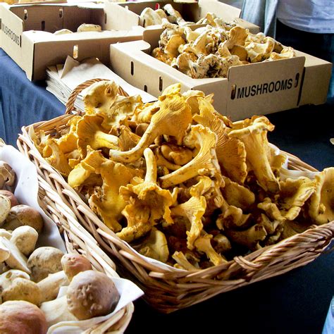 Wild Mushroom Cook Off Oregon Coast Visitors Association