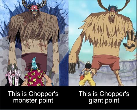 Guide To Chopper Forms Ronepiece