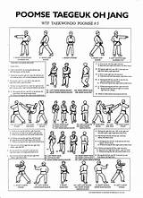 Forms Of Taekwondo