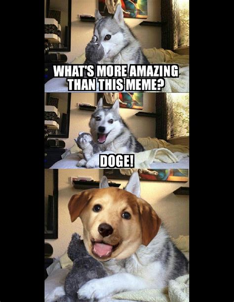 Advice Pun Dog Pun Dog Know Your Meme