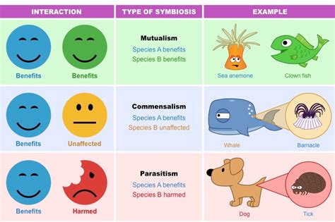 In mutualism, both species benefit from the interaction. Species Interactions | BioNinja