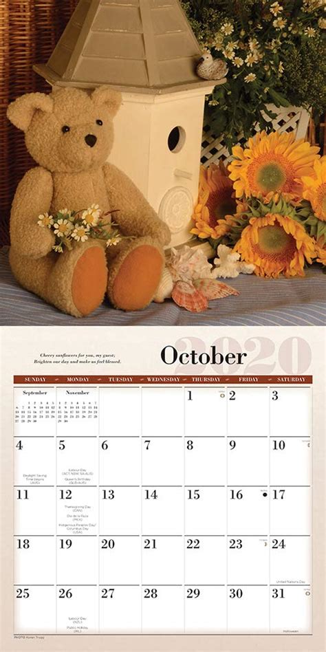 Teddy Bears 2020 Wall Calendar 30x30cm Beautiful Cuddly Images New Ebay