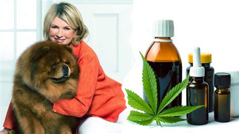 Martha Stewart And Canopy Growth Announce Partnership On Cbd Pet Products