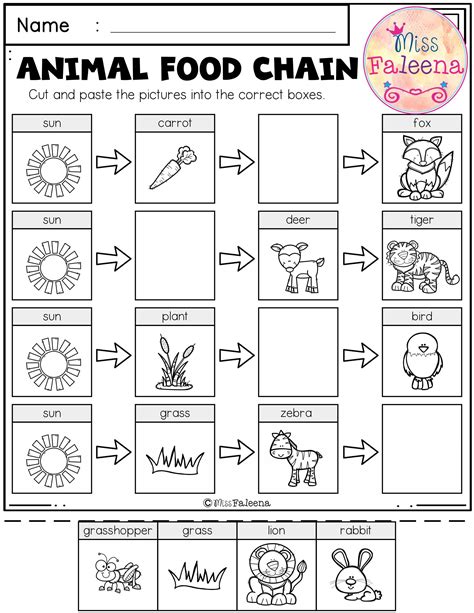 Food Chain Worksheet 1st Grade Zoo Animals