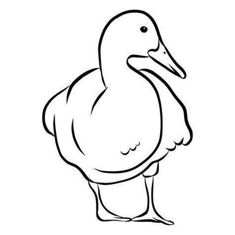 Farm Duck Sketch Vector Ad Aff Sponsored Duck Sketch Vector