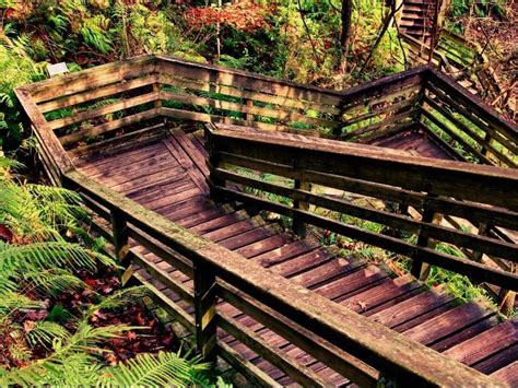 See What Makes Devils Millhopper In Florida So Incredible Trips To