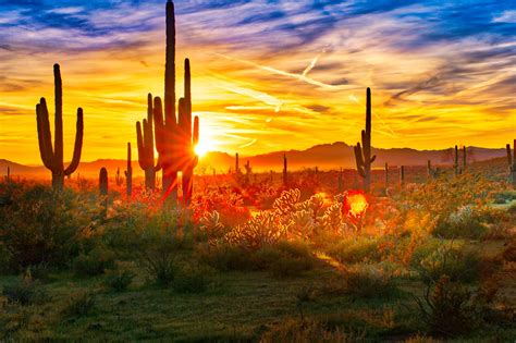 Summer Solstice When Is It What To Know Sonoran Desert