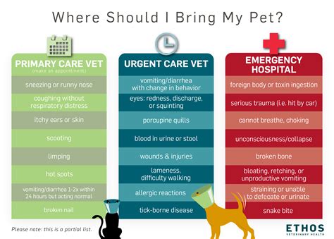 Vet Urgent Care: Know When to Go