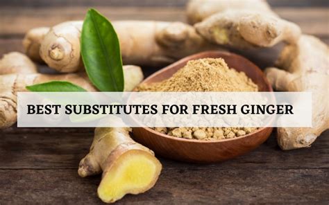 best substitutes for fresh ginger you should buy in 2023 reviews