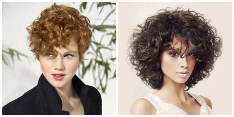 the best 13 short hair 2021 curly imagegardeninterest