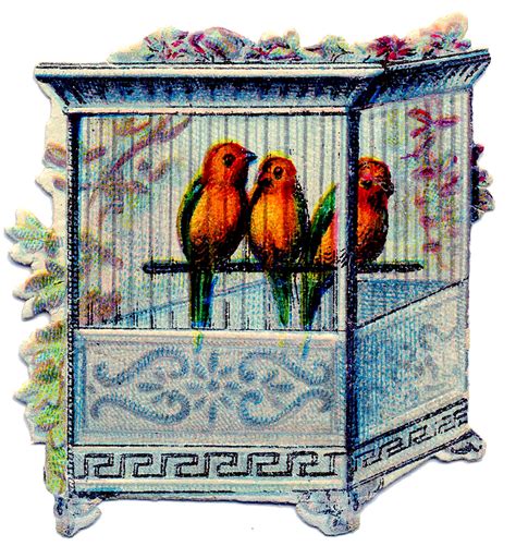 Victorian Clip Art Birds In Pretty Cage The Graphics Fairy