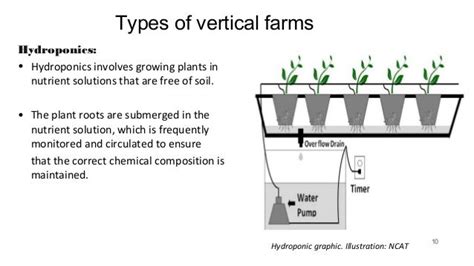 Hydroponics Diagram Vertical Farming Tutorial Hidroponik