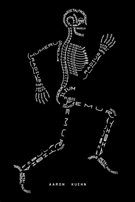 Aaron Kuehn | Skeleton Typogram