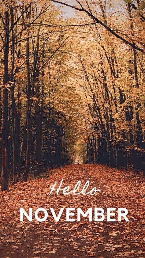 Oh Hello There November 🧡 November Wallpaper Desktop Wallpaper Fall