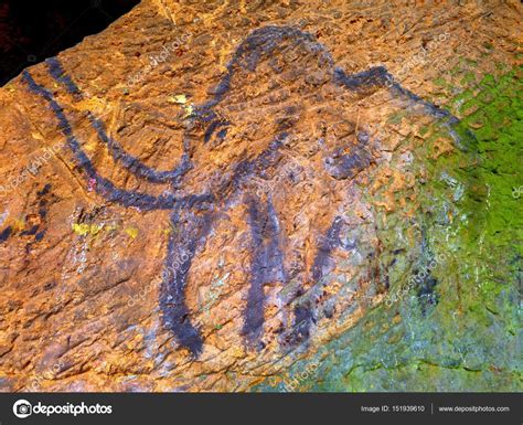 Prehistoric Art Of Mammoth In Sandstone Cave Spotlight Shines On