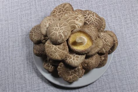 Edible Mushroom Guide 7 Well Known Mushrooms Sunrise Mushrooms