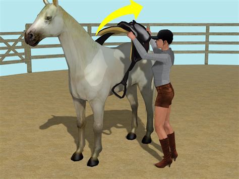 How To Exercise Your Horses Talents Western Riding 9 Steps
