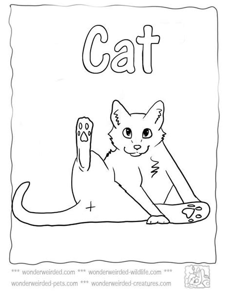 Realistic Cat Style Coloring Pages Cat Coloring Page Animal Coloring