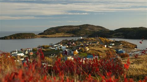 Five Great Fall Hikes In Newfoundland And Labrador Newfoundland And