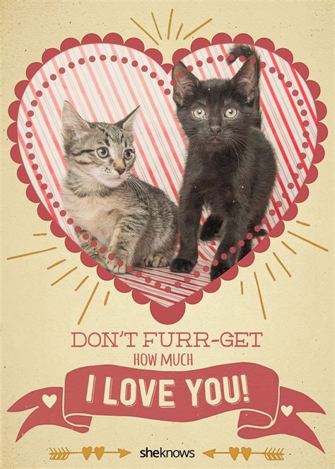 Give One Of These Purr Fect Valentines Day Cards To The One You Love