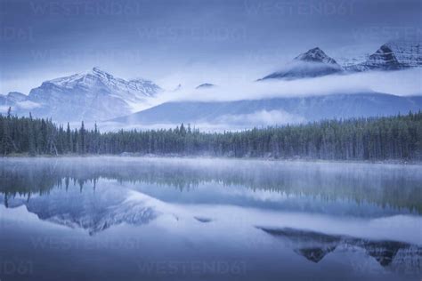 Moody Misty Morning At Herbert Lake In The Canadian Rockies Banff