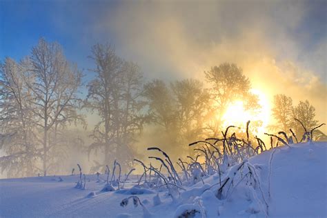 morning, Winter, Snow, Sun, Nature Wallpapers HD / Desktop and Mobile ...