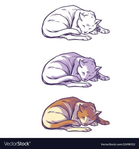 Hand Drawn Realistic Sleeping Cat Vector Royalty Free Svg Cliparts Vectors And Stock Image
