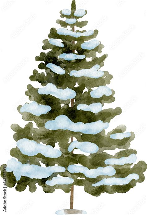 Watercolor Snowy Fir Tree Hand Painted Christmas Tree With Snow