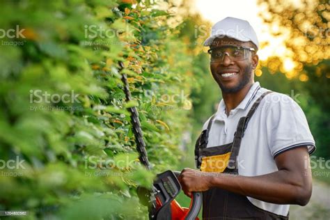 Happy African Man Cutting Bushes With Petrol Hedge Trimmer Stock Photo