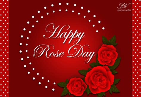 Rose Day Premium Wishes